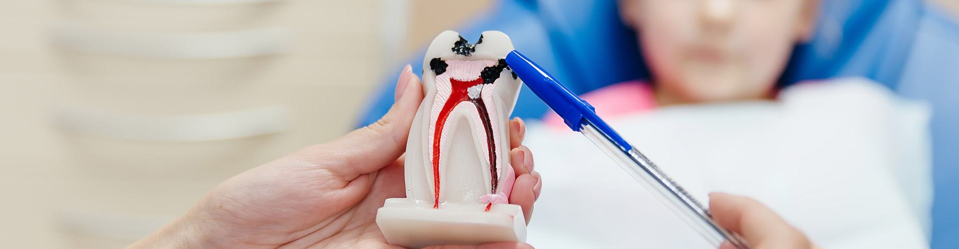 dentist holding a decayed tooth model in front of a child