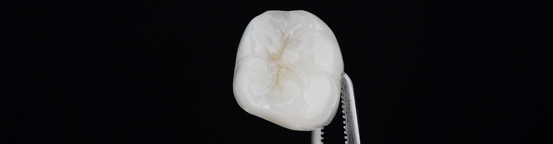 tweezers holding a dental crown